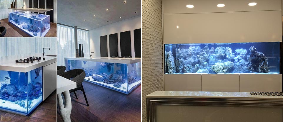 #nivoslider-caption-3 Aquarien in Küche