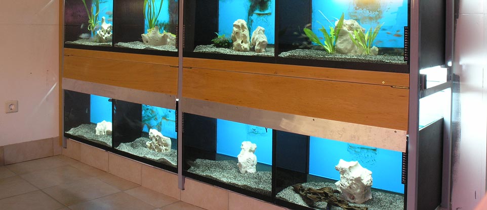 Aquarienanlage in Freiburg