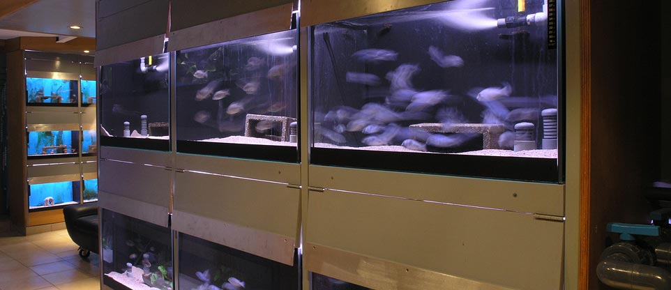 Aquarienanlage in Freiburg