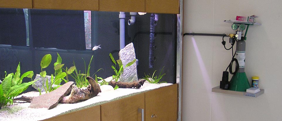 Aquarienanlage in einer Schule in Mulhouse (Frankreich)
