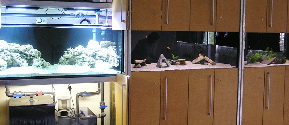 Aquarienanlage in einer Schule in Mulhouse (Frankreich)