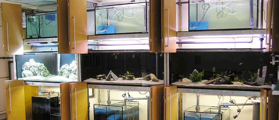Aquarienanlage in einer Schule in Mulhouse (Frankreich)