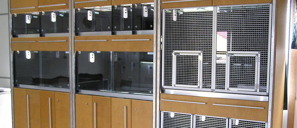 Aquarienanlage in einer Schule in Mulhouse (Frankreich)