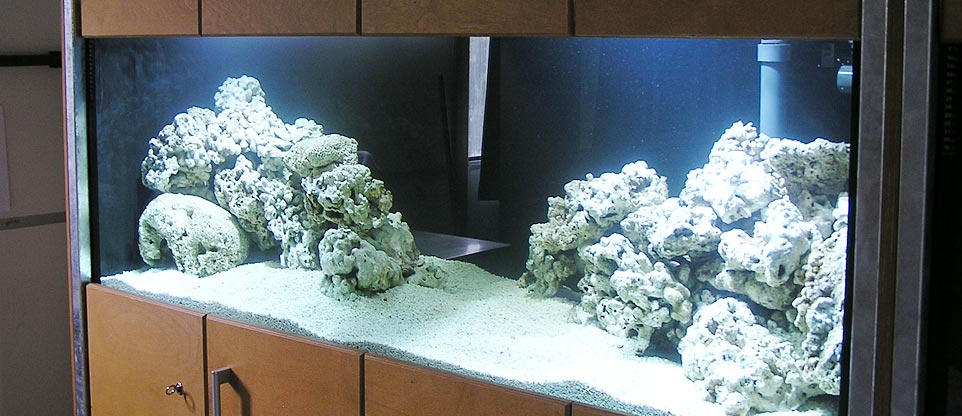 Aquarienanlage in einer Schule in Mulhouse (Frankreich)