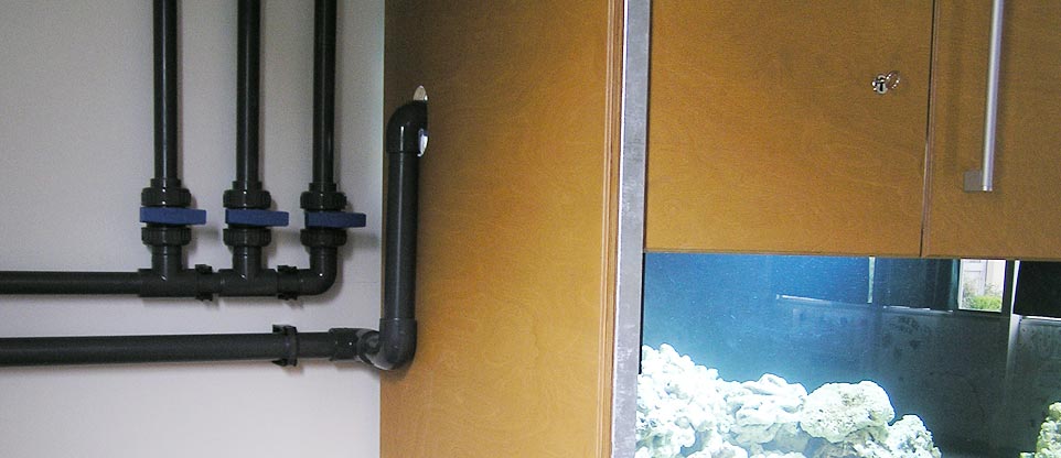 Aquarienanlage in einer Schule in Mulhouse (Frankreich)