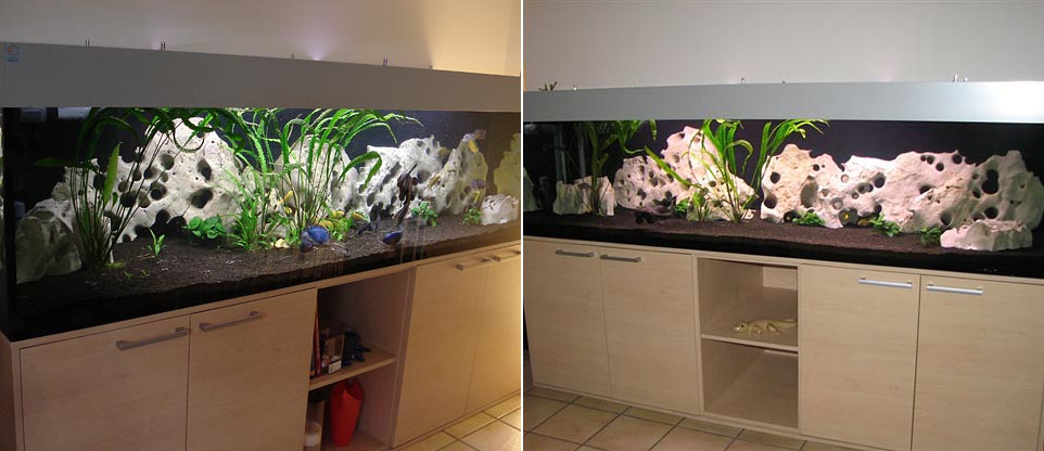 #nivoslider-caption-5 Aquarium in Basel