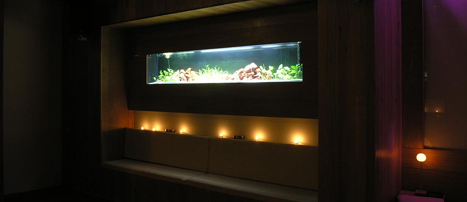 #nivoslider-caption-2 Aquarium in Discothek, Lörrach