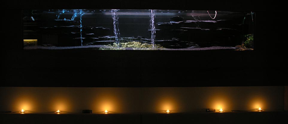 Aquarium in Discothek, Lörrach