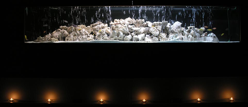 Aquarium in Discothek, Lörrach