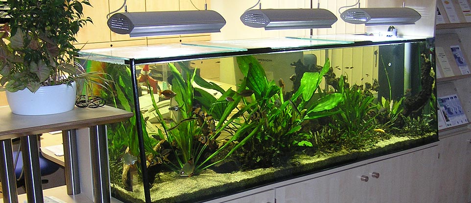 Wartezimmer mit Aquarium, Freiburg