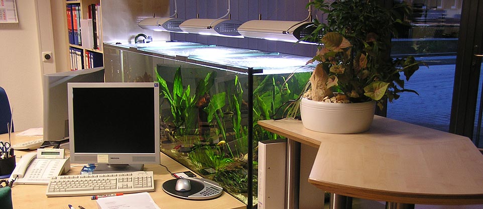 Wartezimmer mit Aquarium, Freiburg