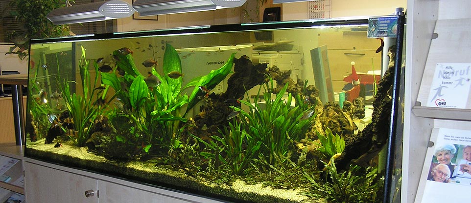 Wartezimmer mit Aquarium, Freiburg