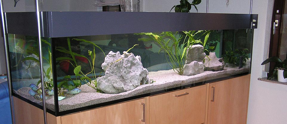 freischwebendes Wohnzimmeraquarium, Lörrach