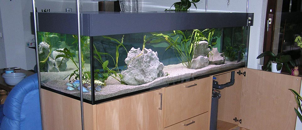 freischwebendes Wohnzimmeraquarium, Lörrach