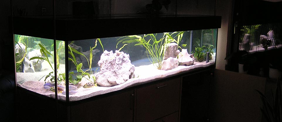 freischwebendes Wohnzimmeraquarium, Lörrach