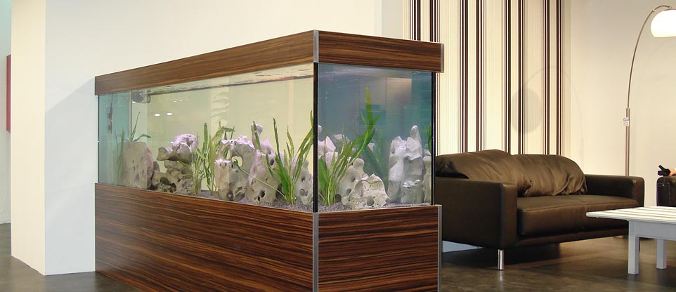 #nivoslider-caption-2 Aquarium in einem Küchenstudio in Freiburg