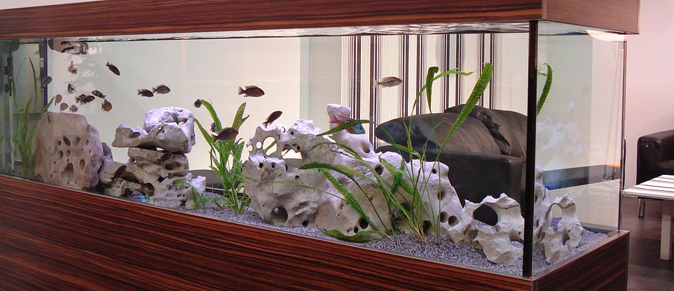 #nivoslider-caption-3 Aquarium in einem Küchenstudio in Freiburg