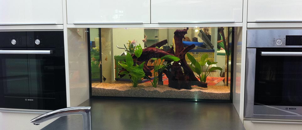 #nivoslider-caption-6 Aquarium in einem Küchenstudio in Freiburg