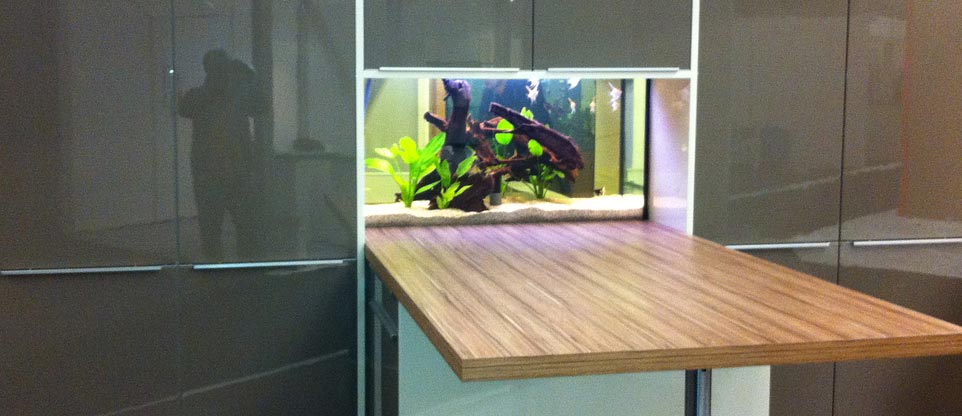 #nivoslider-caption-7 Aquarium in einem Küchenstudio in Freiburg