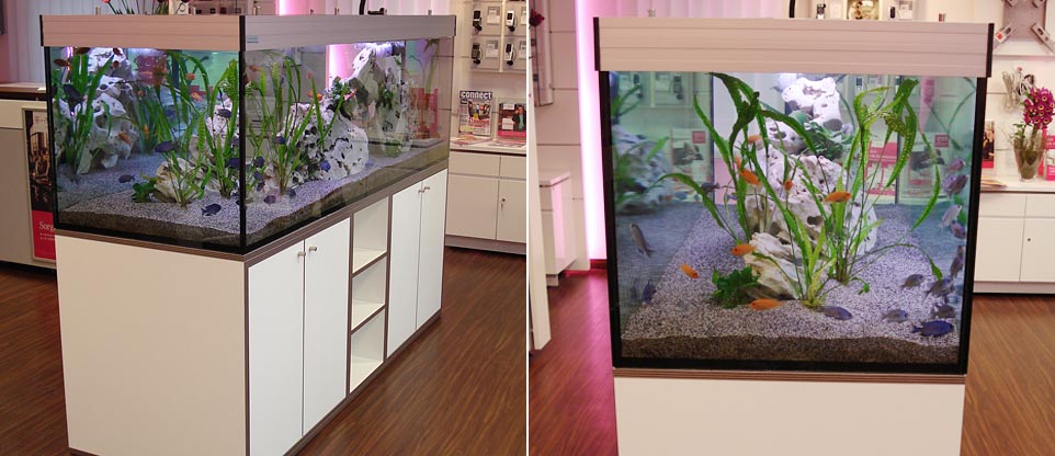 #nivoslider-caption-2 Aquarium in einem Ladengeschäft in Freiburg