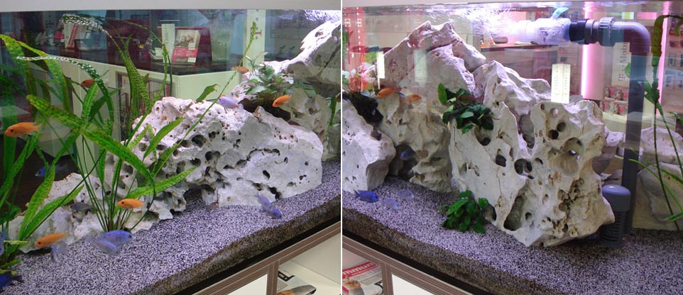 #nivoslider-caption-5 Aquarium in einem Ladengeschäft in Freiburg