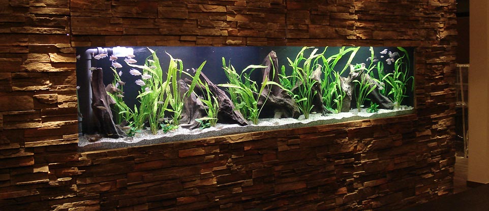 Wandaquarium in einem Restaurant in Waldshut