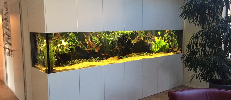 #nivoslider-caption-2 Aquarium im Wohnzimmerschrank