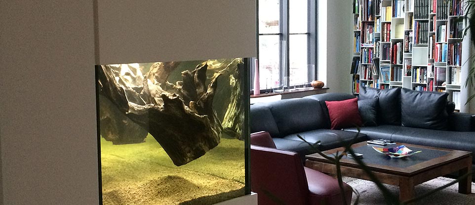 #nivoslider-caption-1 Aquarium im Wohnzimmerschrank