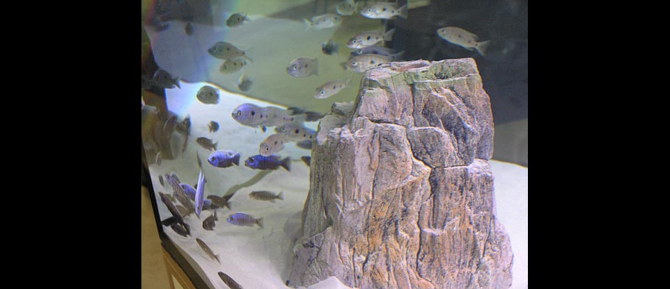 #nivoslider-caption-1 Dekorstein