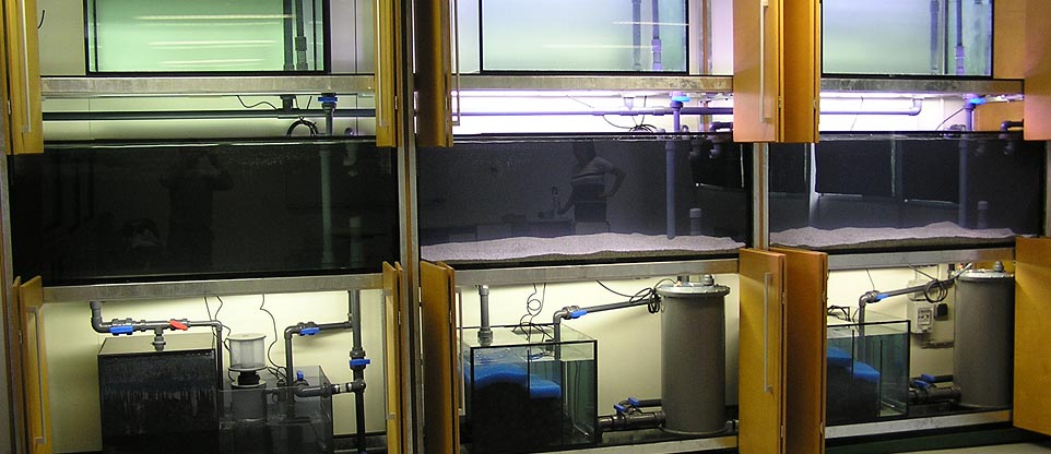 #nivoslider-caption-3 Filter für Aquariumanlage