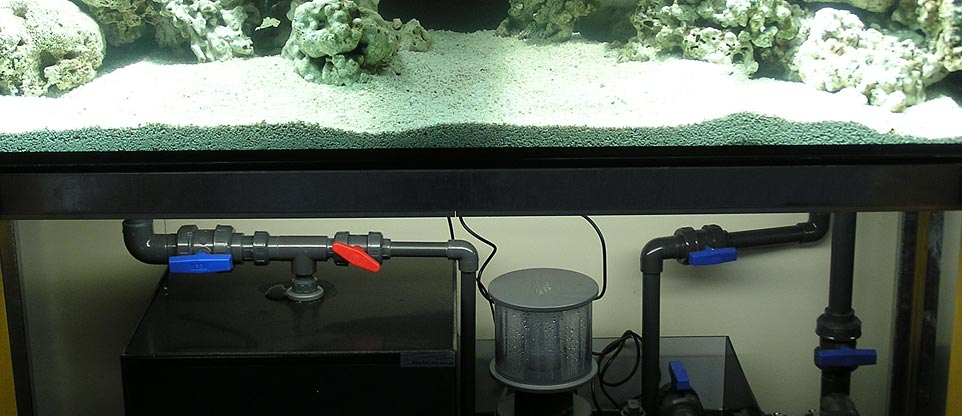 Filter für Meerwasseraquarium