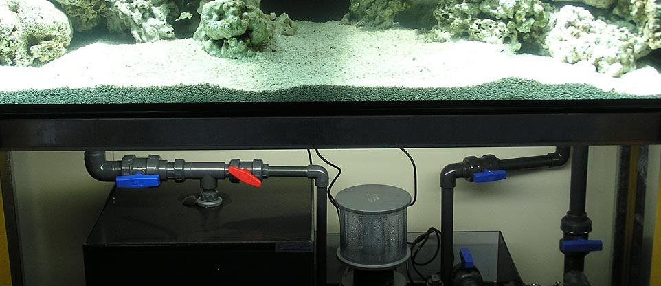 #nivoslider-caption-4 Filter für Meerwasseraquarium