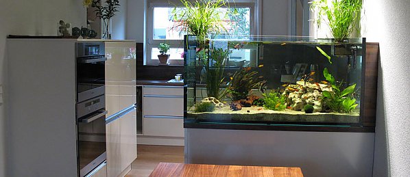 Küche mit Aquarium