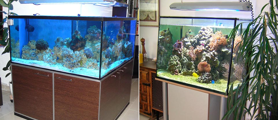 Meerwasseraquarien in Freiburg