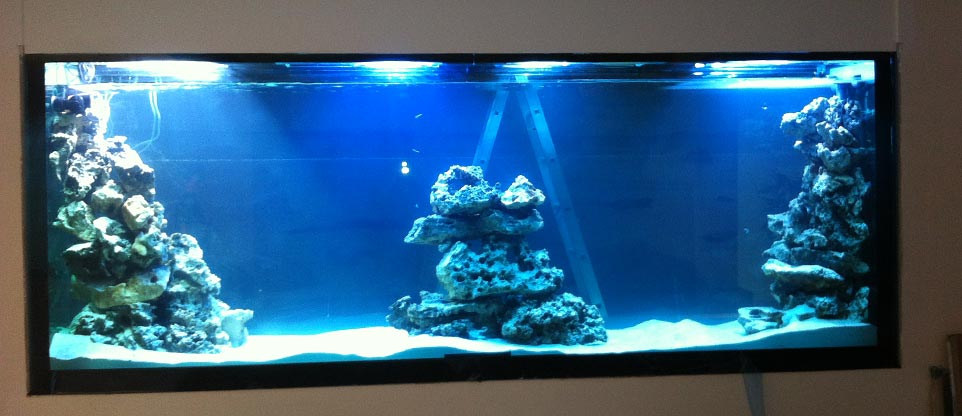 Meerwasseraquarium in Freiburg