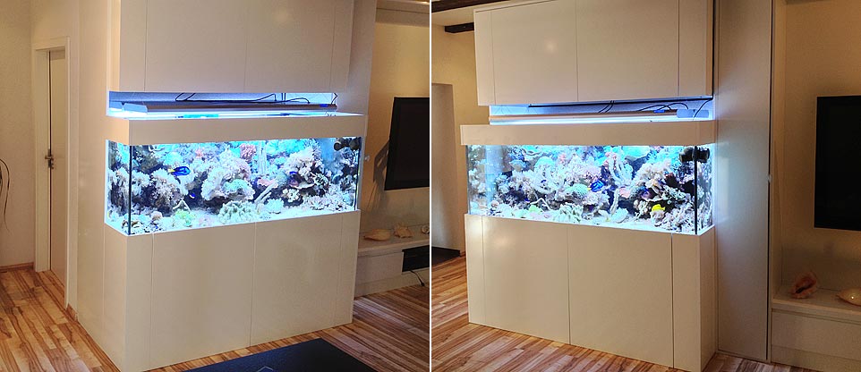 #nivoslider-caption-6 Meerwasseraquarium mit Korallen