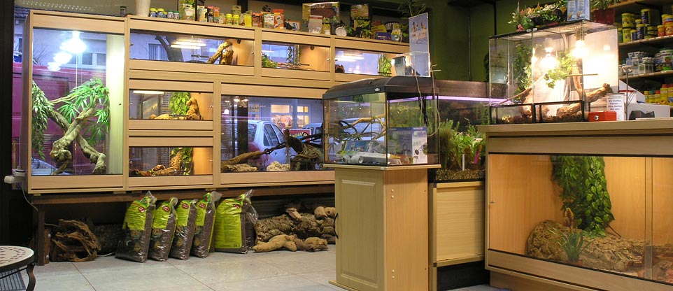 #nivoslider-caption-5 Terrarienverkaufsanlage