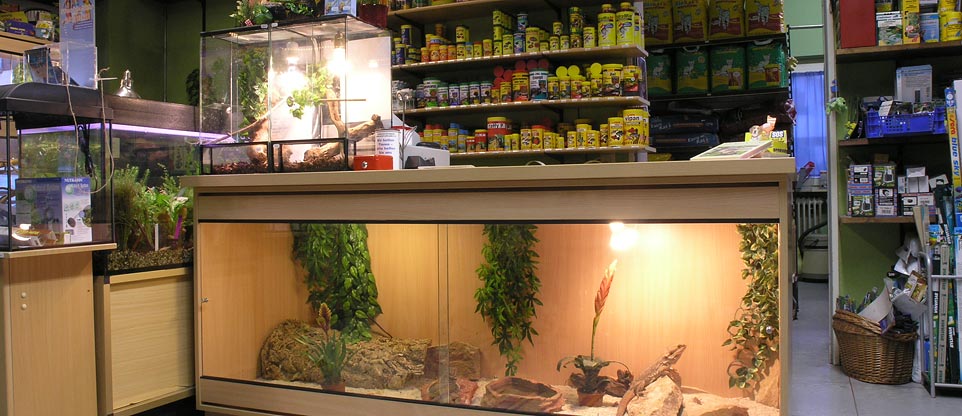 Terrarienverkaufsanlage