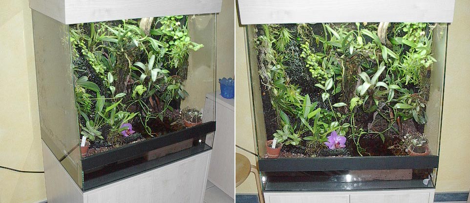 #nivoslider-caption-1 Terrarium für Dendrobaten, Lörrach