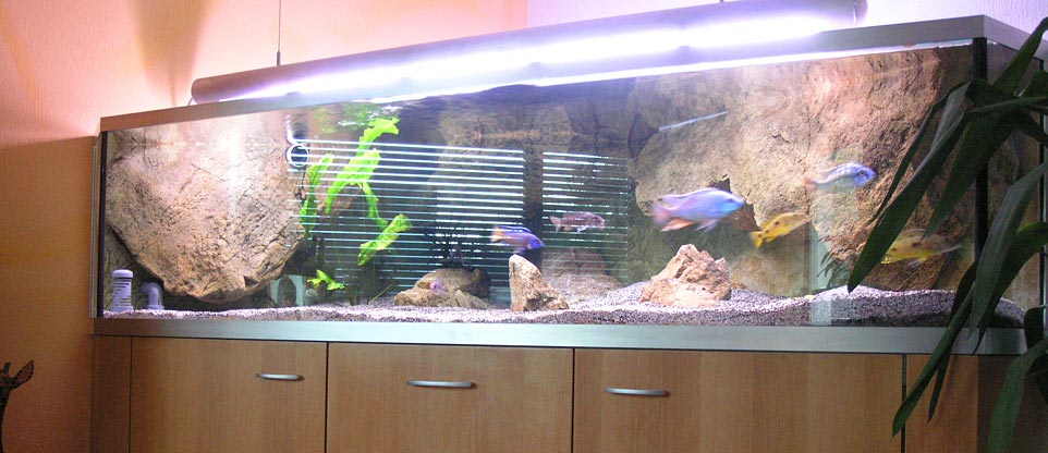 Wohnzimmeraquarium in Freiburg