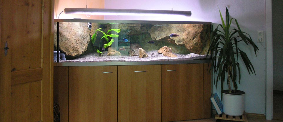 Wohnzimmeraquarium in Freiburg