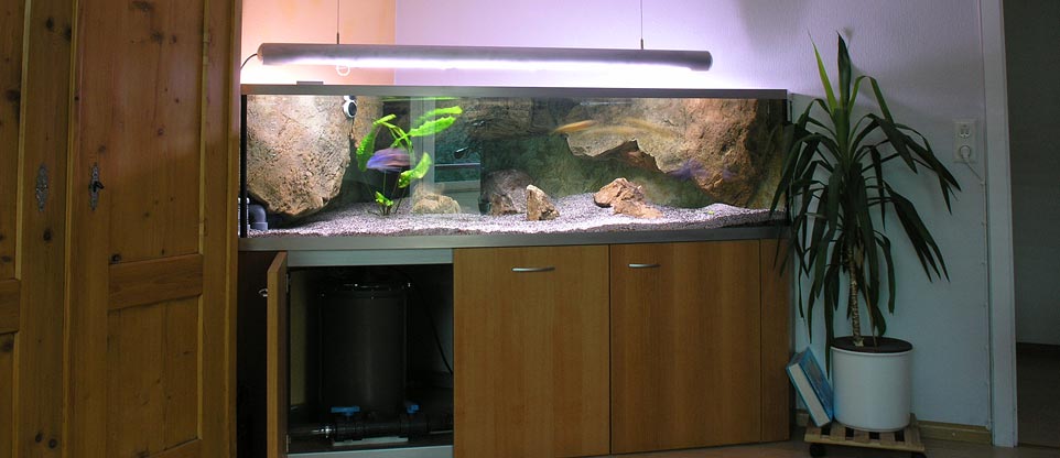 Wohnzimmeraquarium in Freiburg