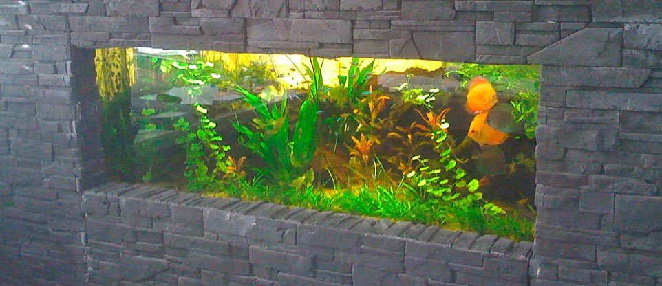 Wohnzimmeraquarium in Freiburg