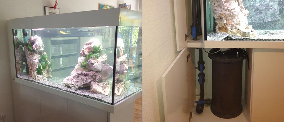 Wohnzimmeraquarium in Freiburg
