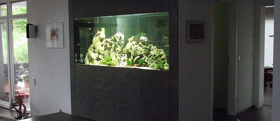 Wohnzimmeraquarium in Offenburg