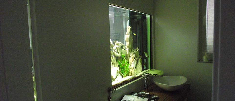 Wohnzimmeraquarium (Rückseite) in Offenburg